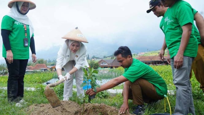 PNM Gerak Cepat Selamatkan Hutan: Ribuan Pohon Ditanam, Masyarakat Dimobilisasi