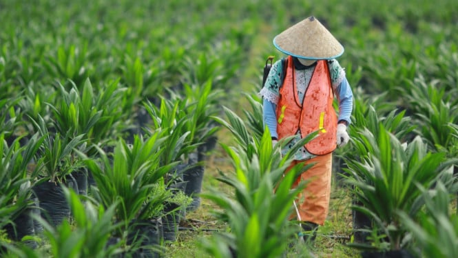 UNSP Raih Momentum Gemilang: Laba Operasi Melonjak 86 Persen di Tengah Pertumbuhan Penjualan