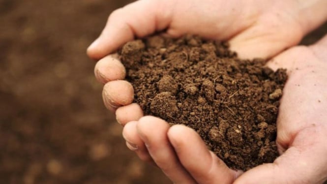 Waspada Penipu Tanah! Ini Cara Jitu Verifikasi PPAT Asli Sebelum Transaksi