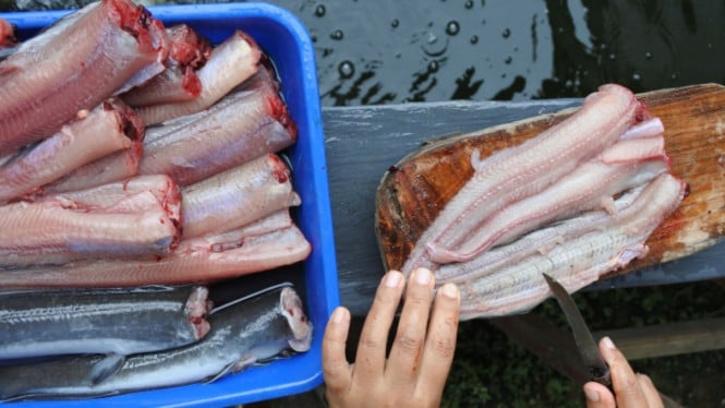 Bisnis Kampung Menguntungkan: 17 Peluang Usaha Modal Pas-pasan yang Bisa Dimulai Hari Ini