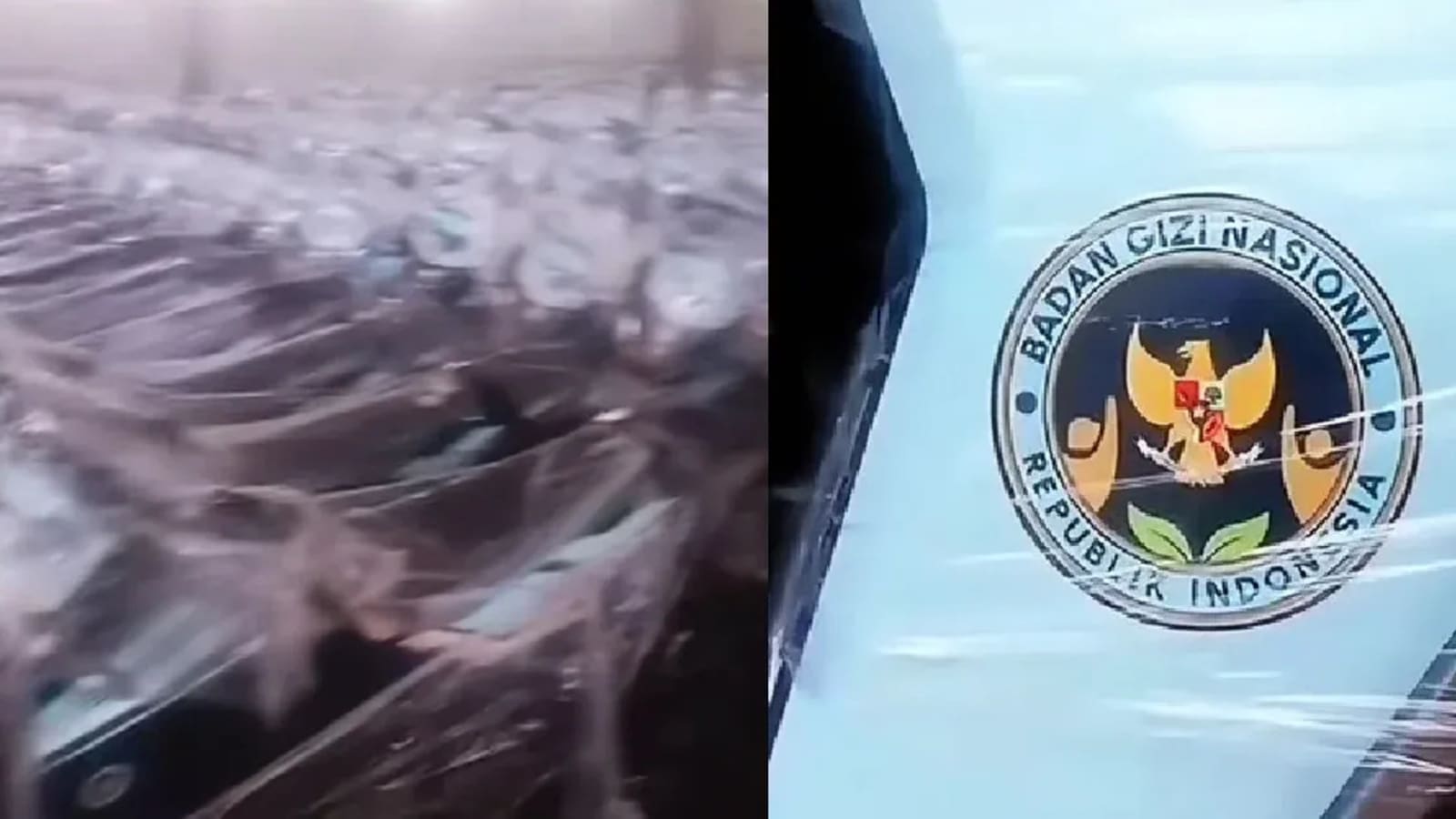 Mengapa Pemerintah Butuh 21.800 Motor Listrik untuk Program Makan Gratis? Ini Penjelasan Lengkapnya