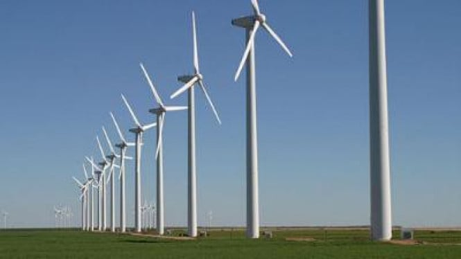 Mimpi Energi Hijau Tiongkok Kandas di Negara Berkembang, Ini Sebabnya