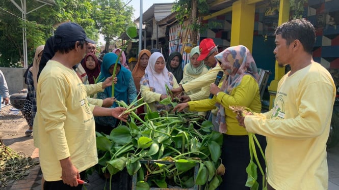 Pertamina Patra Niaga Jadikan Eceng Gondok Jadi Bahan Bakar Ramah Lingkungan, Terobosan di Surabaya