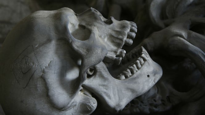 Misteri Kematian Manusia Purba Terbongkar: Arkeolog Temukan Bukti Serangan Predator 100 Ribu Tahun Lalu