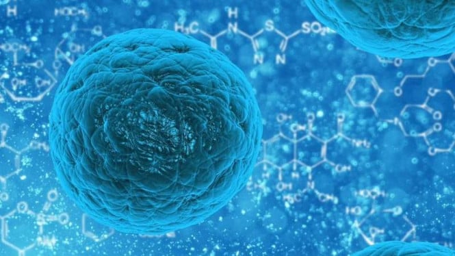 Stem Cell: Teknologi Revolusioner yang Mengubah Cara Dokter Menyembuhkan Penyakit