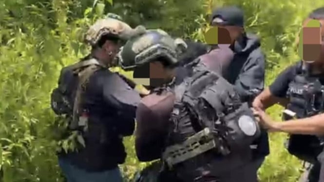 Operasi Damai Cartenz Cetak Rekor: Tangkap Anggota KKB di Tengah Gawat Darurat Timika