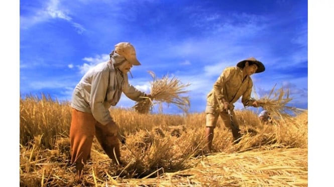 Myanmar Terjepit Krisis BBM Akut, Harga Solar Melambung hingga Rp51 Ribu Ancam Ketahanan Pangan