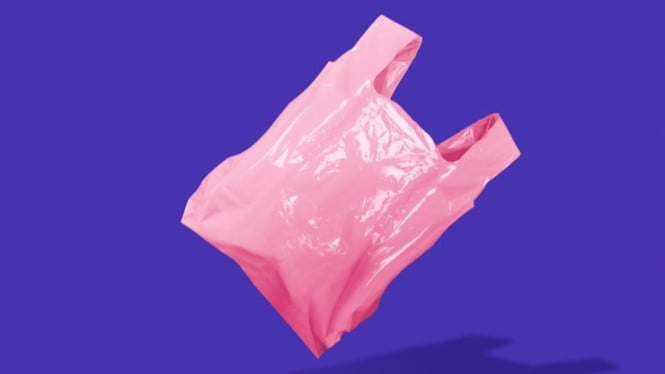 Revolusi Plastik Dimulai dari Tanaman Hemp, Ilmuwan Buktikan Solusi Ramah Lingkungan Tanpa Minyak Bumi