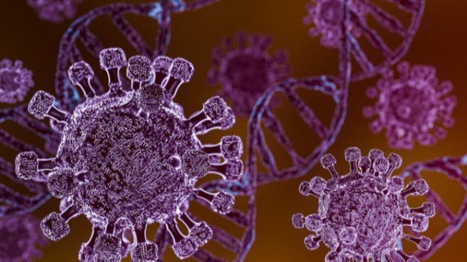 Alarm Kesehatan! Penumpang Kapal Pesiar Terkonfirmasi Positif Hantavirus di Swiss