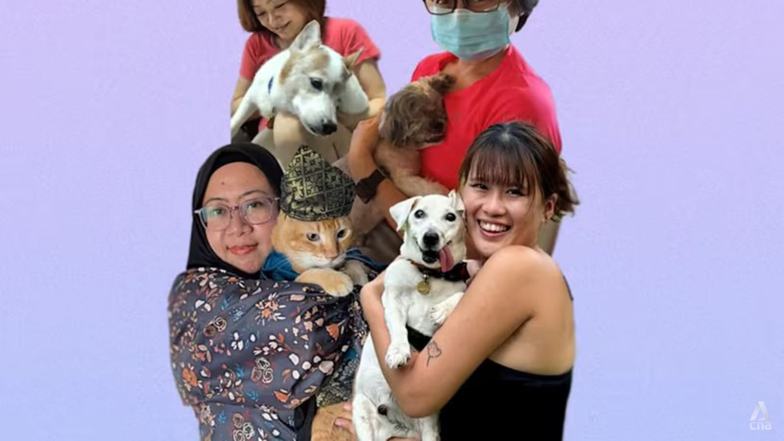 Mereka Memilih Menjadi Malaikat bagi Hewan Tua: Kisah Empat Perempuan yang Rela Mengurus Anjing dan Kucing Cacat Seumur Hidup
