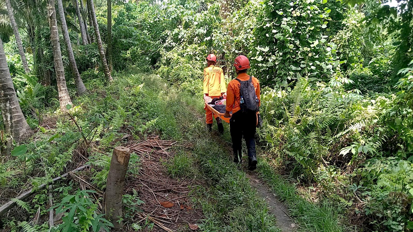 Tragis! Pendaki Gunung Dukono Tewas, Dua Rekan Masih Hilang di Tengah Kondisi Ekstrem