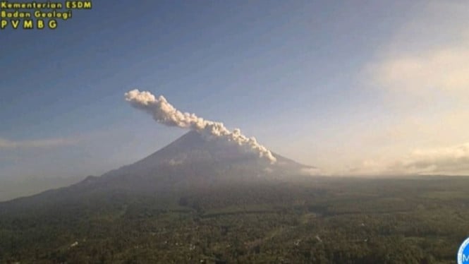 Semeru Kembali Berguncang: Letusan Abu Spektakuler Mencapai 1 Kilometer Menggetarkan Jawa Timur