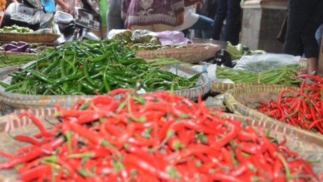 Harga Cabai Rawit Merah Melambung Tinggi, Bank Indonesia Rilis Data Pangan Terkini yang Bikin Kantong Tipis