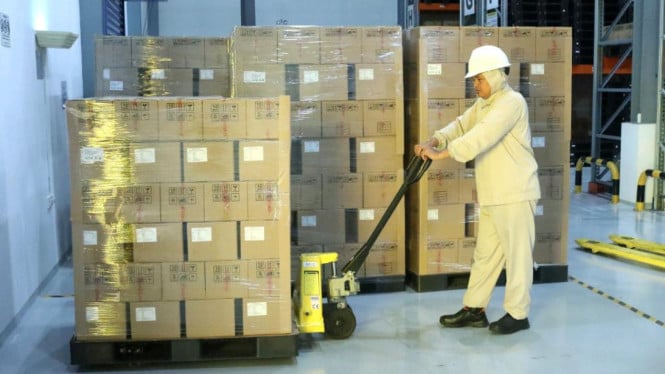 Kemenkes Buka Suara soal Polemik Mark Up Alkes RSUD Krui: Alokasi Rp56,7 Miliar Sudah Tepat Sasaran