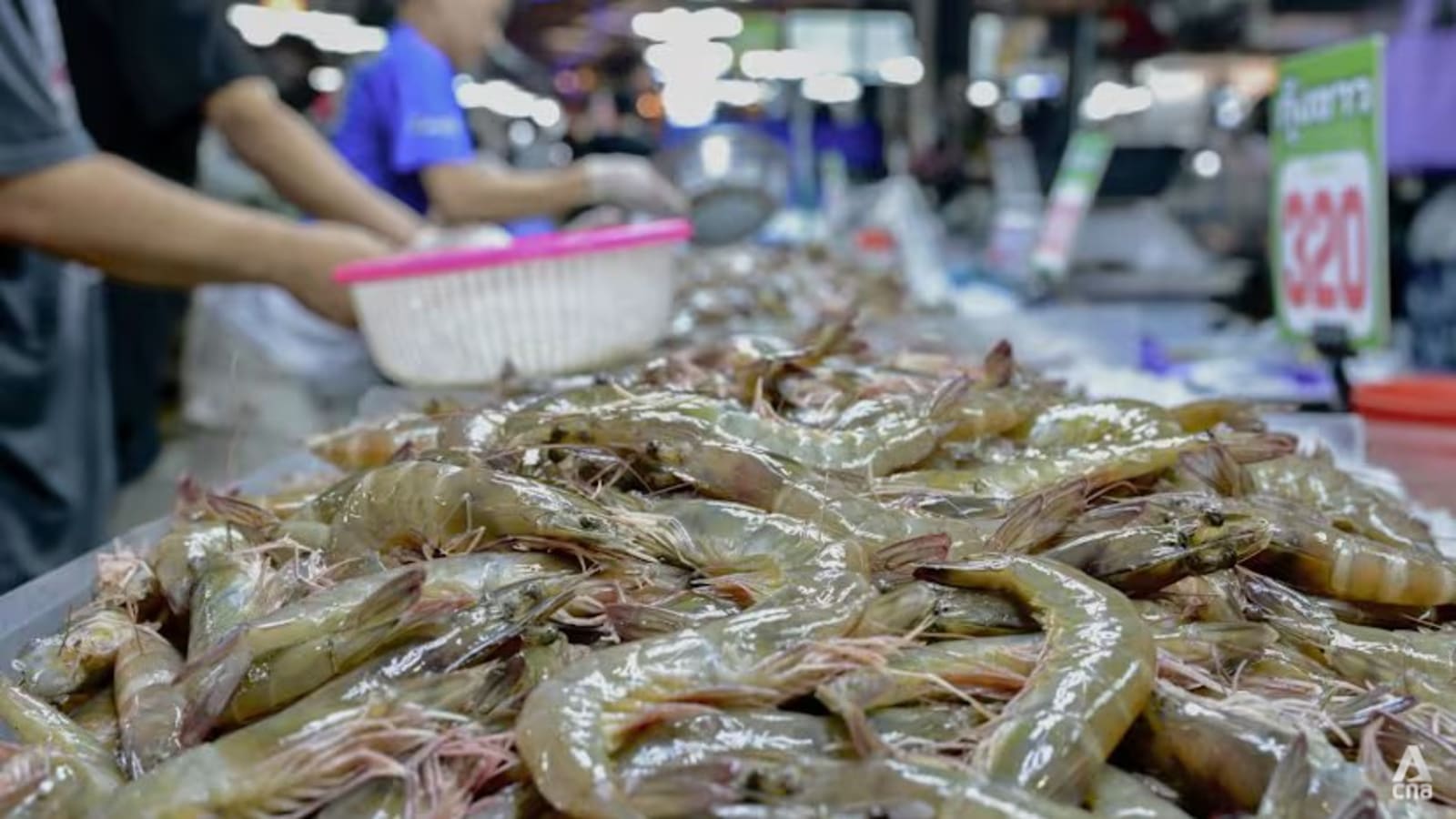 Perang Tarif Perikanan Thailand-Malaysia Bikin Nelayan Pasrah, Pasar Ikan Berguncang