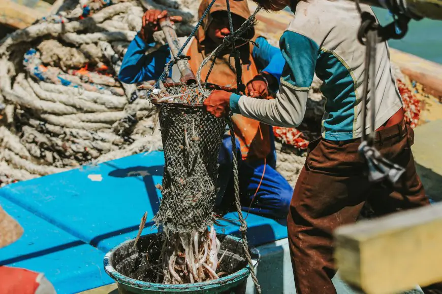 Nelayan Gresik Terjepit: Harga Ikan Anjlok hingga 40%, Pendapatan Bulanan Tinggal Separuh