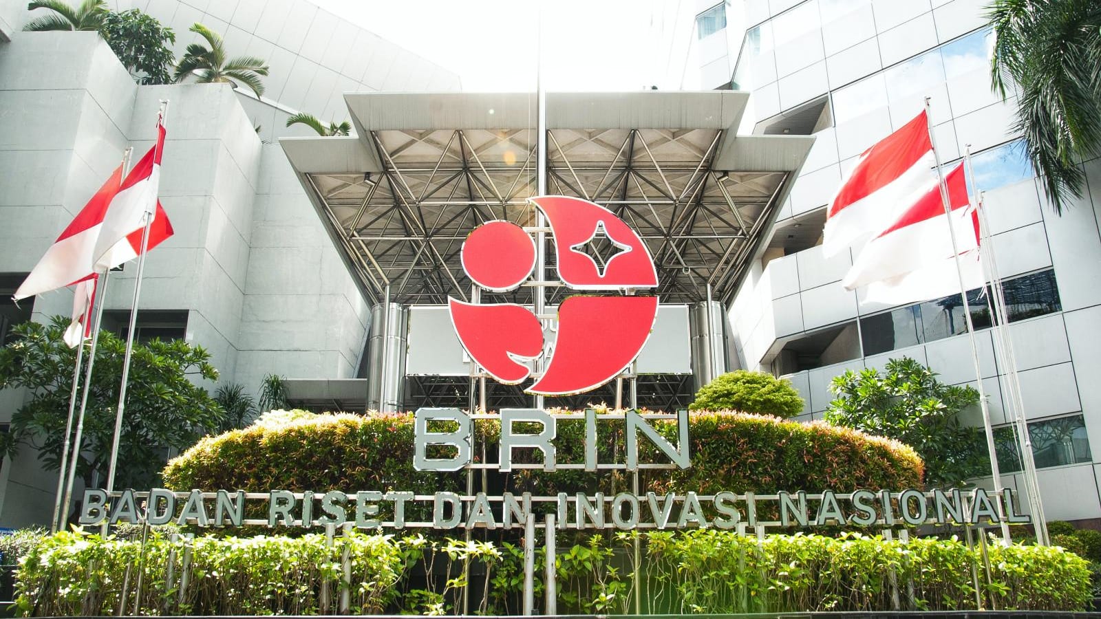 Peluang Emas Magang di BRIN: Asah Skill Riset Tanpa Biaya Hidup, Ini Cara Daftarnya
