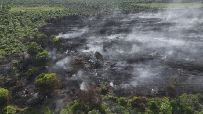 Ancaman Kebakaran Lahan Gambut: 7 Hektare Terbakar di Rokan Hilir, Puluhan Hot Spot Terdeteksi