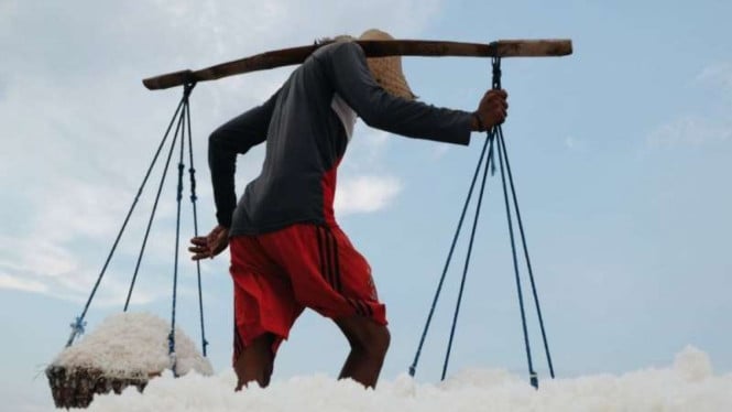 Lonjakan Impor Garam di Kuartal Pertama 2026: Desakan Keras untuk Lindungi Industri Lokal