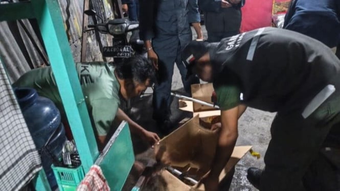 Operasi Besar-besaran Kemenhut: Sindikat Perdagangan Burung Langka di Facebook Terbongkar, 7 Ekor Dikurung dalam Kondisi Mengenaskan