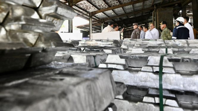Bersinar Terang di Tengah Ketidakpastian: PT Timah Lampaui Target Laba dengan Pertumbuhan Spektakuler 169 Persen