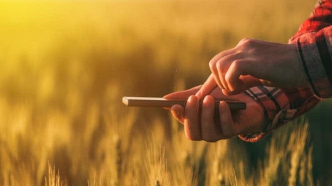 Petani Zaman Now Butuh HP Tangguh: Ini Pilihan Smartphone Murah dengan Daya Tahan Luar Biasa