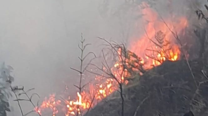 Jalur Wisata Gunung Bromo Mulai Tersendat, Kebakaran Blok Bantengan Paksa Tutup Beberapa Pintu Masuk
