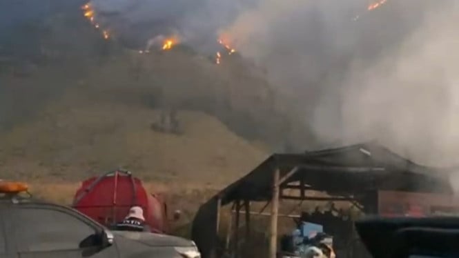 BNPB Kerahkan Teknologi Cloud Seeding dan Bom Air untuk Jinakkan Api Gunung Bromo
