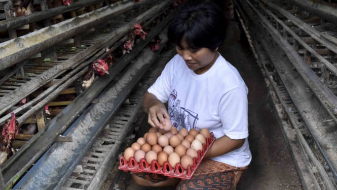 Mulai dari Nol: 10 Bisnis Menguntungkan yang Bisa Dijalankan Hanya dengan Rp1 Juta
