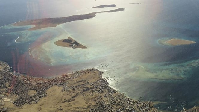 Tragedi di Selat Bab Al-Mandeb: 3 ABK Indonesia Terkena Serangan, Satu Dilaporkan Meninggal