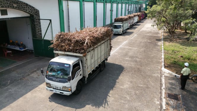 PG Tjepiring Kendal Jadi Pilar Utama Pencapaian Swasembada Gula Indonesia