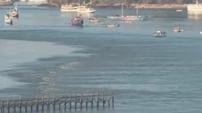 Fenomena Mengerikan: Air Laut Surut Drastis Setelah Gempa 7,7 Skala Richter Mengguncang NTT
