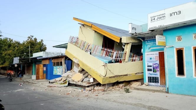 Gempa NTT M 7,7 Tinggalkan Jejak Kehancuran: 346 Rumah Hancur, Logistik Darurat Masif Digerakkan
