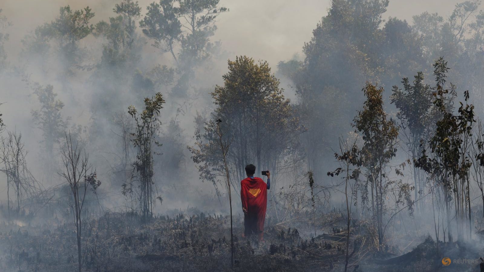 Mengejar Awan untuk Menyelamatkan Hutan: Indonesia Andalkan Hujan Buatan Lawan El Niño