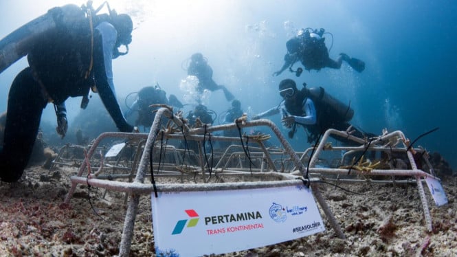 Pertamina Trans Kontinental Komitmen Jaga Laut Sulawesi Utara, Ini Strateginya