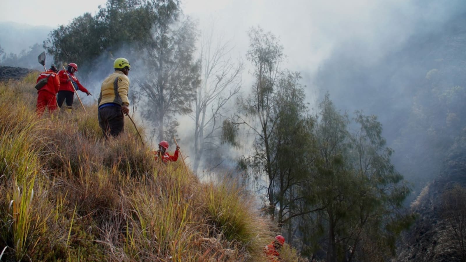 Petualangan Menanti: Gunung Bromo Resmi Dibuka Kembali dengan Standar Keselamatan Ketat