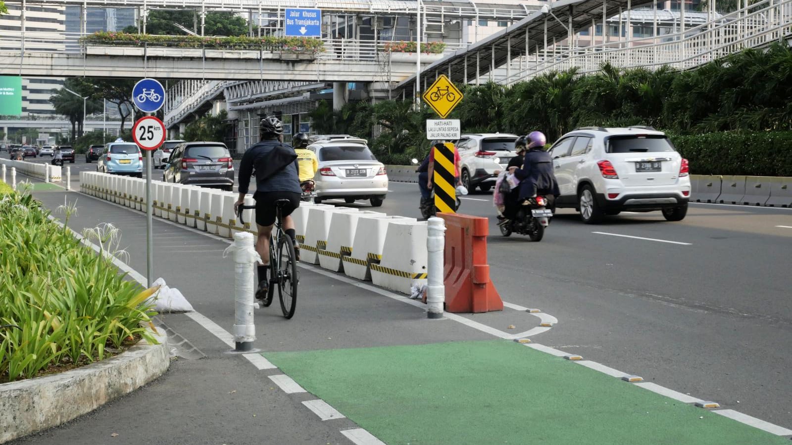 Dilema Jalur Sepeda Jakarta: Antara Harapan Pesepeda dan Keluhan Warga
