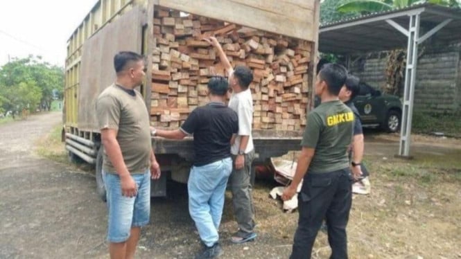 Jaringan Penebangan Gelap TN Bukit Tigapuluh Terbongkar, Sopir Bongkar Modus Pengiriman Kayu Haram