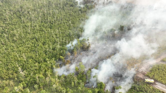 Darurat Kebakaran Melanda 7 Daerah di Kalsel, Pemerintah Keluarkan Status Siaga Tertinggi
