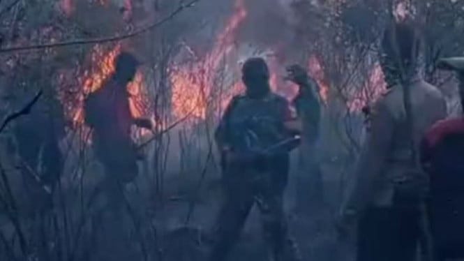 Way Kambas Berapi, Petugas Berjuang Lawan Kobaran di Tengah Medan Sulit