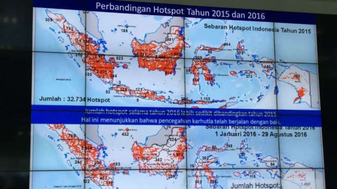 Kebakaran Hutan Papua Tengah Melonjak Drastis, Nabire Dalam Kondisi Darurat