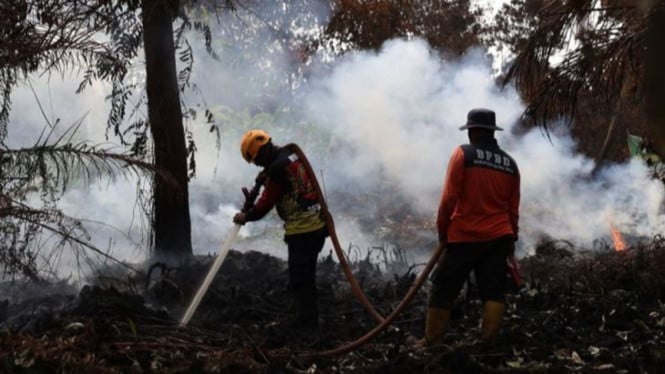 Asap Karhutla Bikin ISPA Melonjak 78 Persen, Kemenkes Mobilisasi Ratusan Medis ke Lapangan