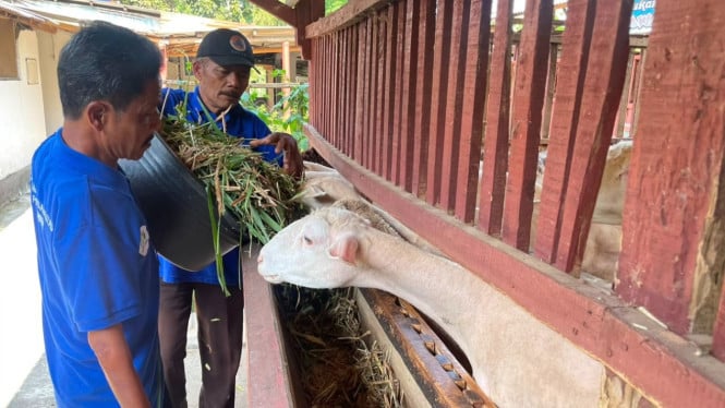 Dari Kursi Roda ke Pengusaha: Kisah Inspiratif Penyandang Disabilitas Boyolali yang Mengubah Nasib