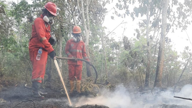 Peringatan BMKG: Kaltim Bersiaplah! El Nino Menguat dan Kekeringan Ekstrem Menjelang September