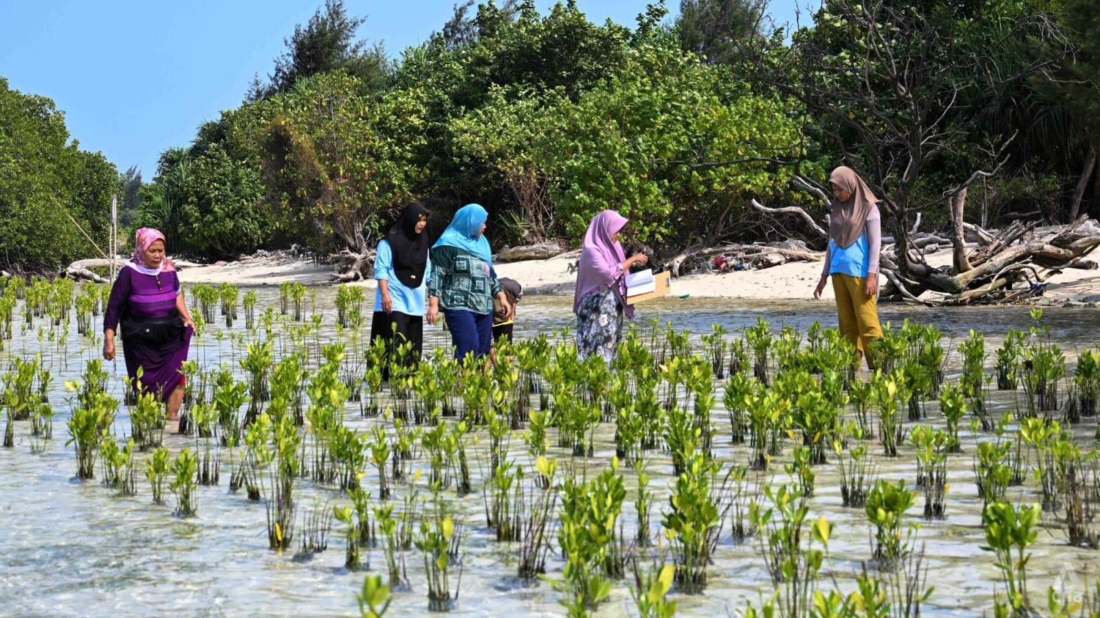 Tanah Leluhur atau Sertifikat Kertas? Kisah Perlawanan Perempuan Pulau Pari