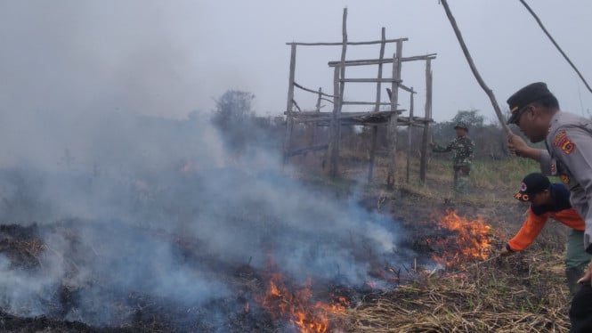 Permainan Berbahaya Dua Anak Berakhir Tragis: Lahan Seluas 2.400 Meter Persegi Hangus Terbakar di Belitung Timur