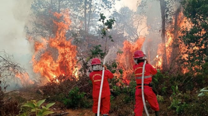 Perang Melawan Api: Koalisi Lintas Sektor Siap Gempur Karhutla