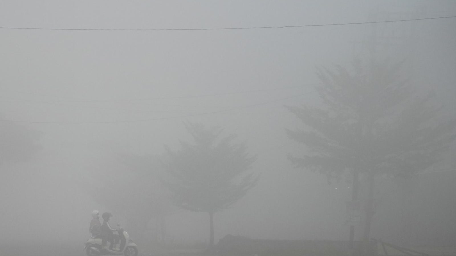 Kabut Asap Melanda Jambi, Sekolah Tutup dan Pasien ISPA Membludak di Rumah Sakit