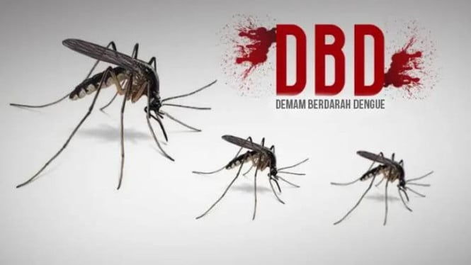 Demam Berdarah Dengue Telan 2 Juta Pasien Rawat Inap Setiap Tahun, Indonesia Dalam Krisis Tersembunyi