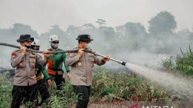 Bara Misterius di Perut Bumi: Kebakaran Hutan Gambut Kubu Raya Masih Ancam Petugas Pemadam